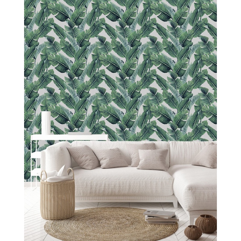 Green Palm Leaves Wallpaper Smart Quality